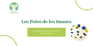 Lee más sobre el artículo La Importancia de Identificar los Polos en los Imanes